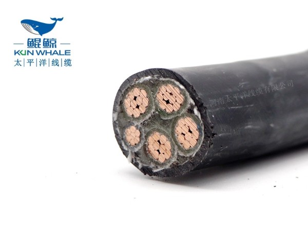 低煙無鹵電纜應(yīng)用在哪些場所你知道嗎？