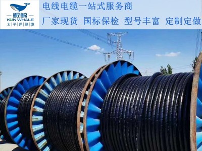 鄭州電纜廠淺談電纜著火怎么辦呢？撲救辦法在這里