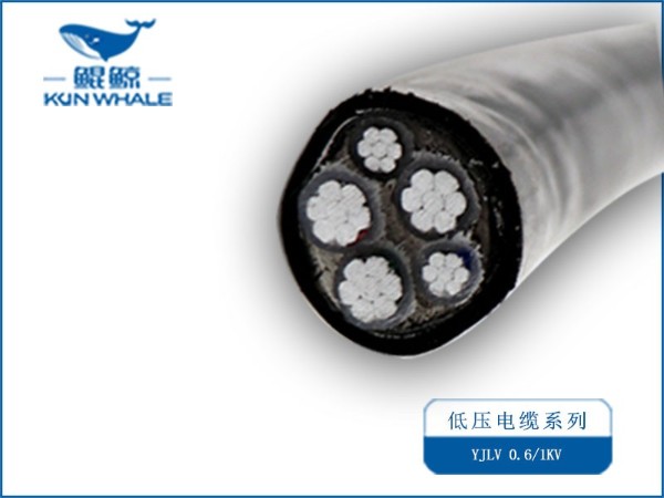 國標(biāo)25平方鋁電線價(jià)格多少錢一米？