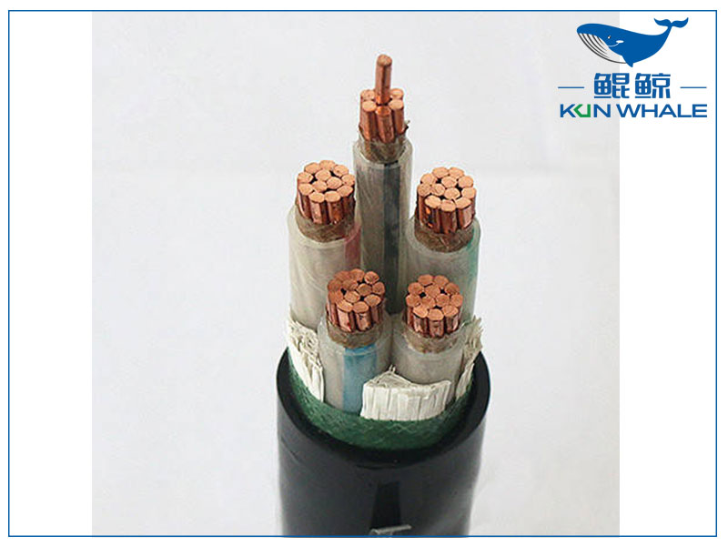 鄭州電纜廠帶你了解wdz—yje是什么電纜？