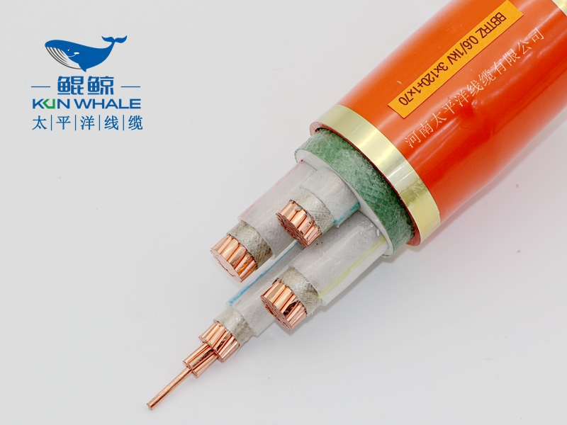 電線電纜廠家淺談什么叫BTTRZ電纜YTTW電纜型號是什么？